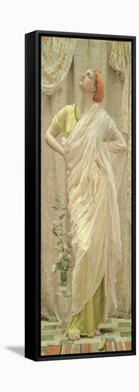 Birds (Also known as Canaries) (Oil on Canvas)-Albert Joseph Moore-Framed Premier Image Canvas