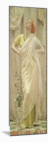 Birds (Also known as Canaries) (Oil on Canvas)-Albert Joseph Moore-Mounted Giclee Print