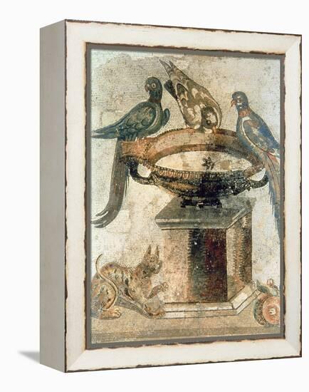 Birds and an Ambushing Cat, from Pompeii, 1st Century Ad-null-Framed Premier Image Canvas