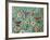 Birds and Blooms-Karla Gerard-Framed Giclee Print