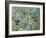 Birds and Blooms-Karla Gerard-Framed Giclee Print