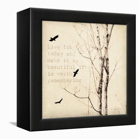 Birds and Branches II-Amy Melious-Framed Stretched Canvas