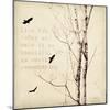 Birds and Branches II-Amy Melious-Mounted Art Print