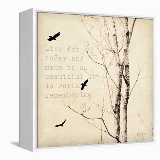 Birds and Branches II-Amy Melious-Framed Stretched Canvas