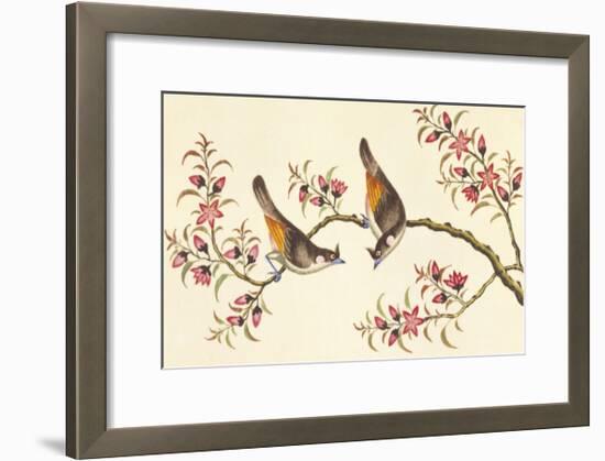 Birds And Flowers On Branch-null-Framed Premium Giclee Print