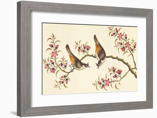 Birds And Flowers On Branch-null-Framed Premium Giclee Print