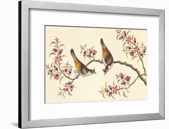 Birds And Flowers On Branch-null-Framed Premium Giclee Print