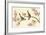 Birds And Flowers On Branch-null-Framed Premium Giclee Print