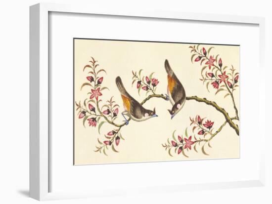 Birds And Flowers On Branch-null-Framed Premium Giclee Print