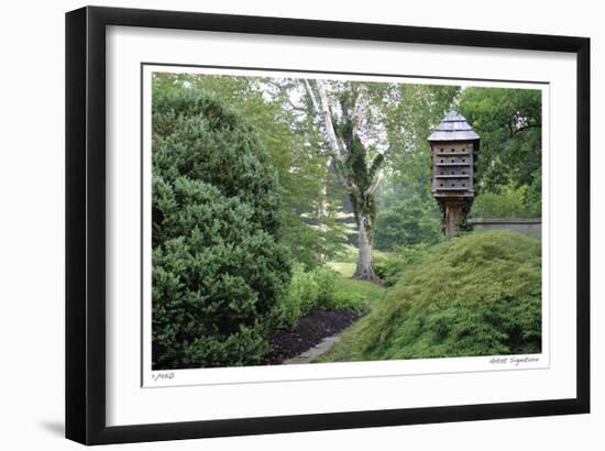 Birds and Path-Stacy Bass-Framed Giclee Print