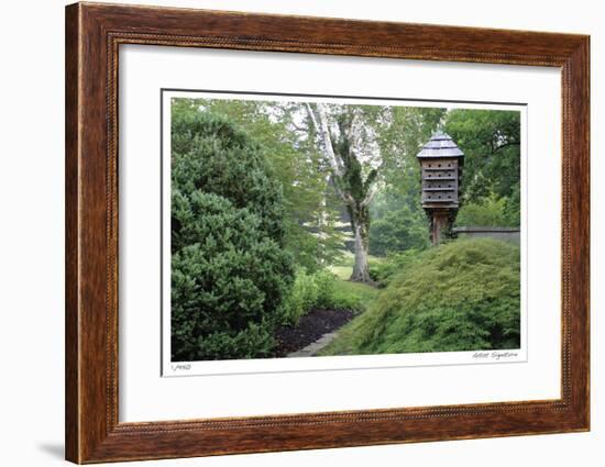 Birds and Path-Stacy Bass-Framed Giclee Print