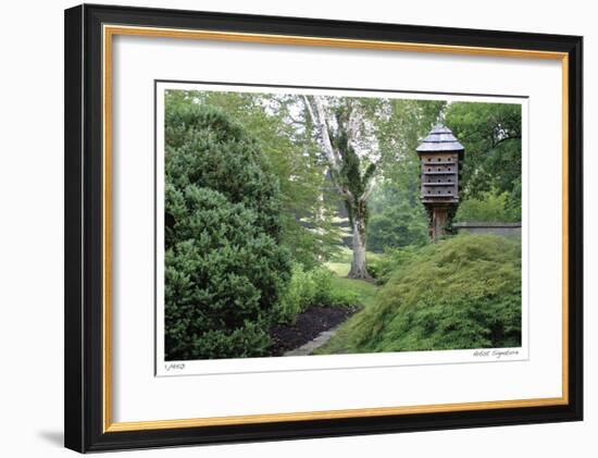 Birds and Path-Stacy Bass-Framed Giclee Print