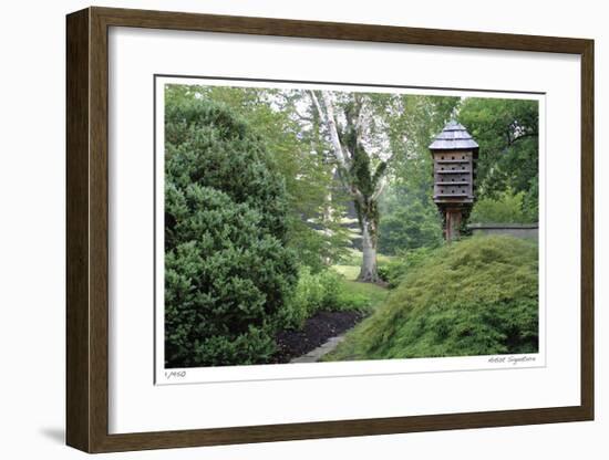 Birds and Path-Stacy Bass-Framed Giclee Print