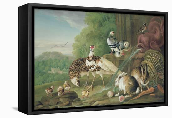 Birds and Rabbits-Pieter Casteels-Framed Premier Image Canvas