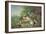 Birds and Rabbits-Pieter Casteels-Framed Giclee Print