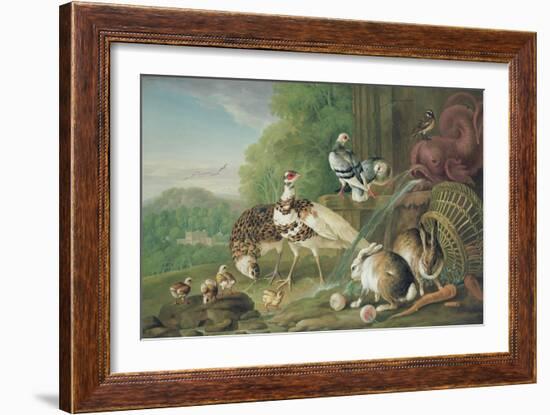 Birds and Rabbits-Pieter Casteels-Framed Giclee Print