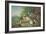 Birds and Rabbits-Pieter Casteels-Framed Giclee Print