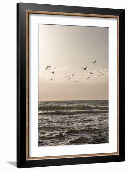 Birds and the Sea 3-Mareike Böhmer-Framed Giclee Print