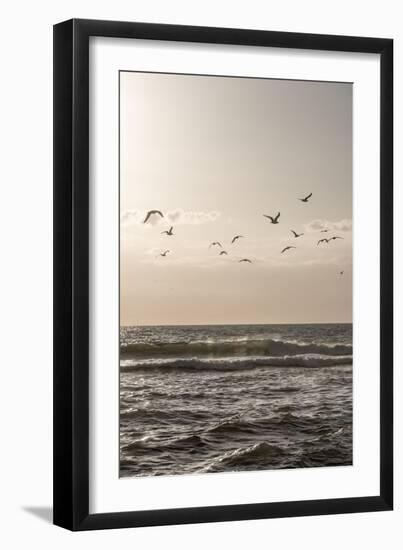 Birds and the Sea 3-Mareike Böhmer-Framed Giclee Print