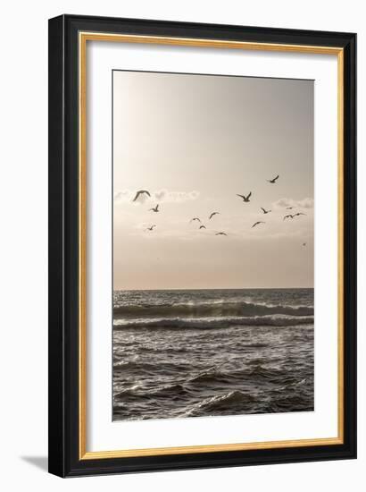 Birds and the Sea 3-Mareike Böhmer-Framed Giclee Print