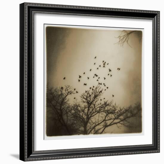 Birds and Trees, Discovery Park-Kevin Cruff-Framed Photographic Print