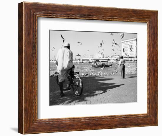 Birds and Watcher, Dubai Creek, Dubai-Walter Bibikow-Framed Photographic Print