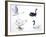 Birds: Anseriformes-null-Framed Giclee Print