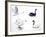 Birds: Anseriformes-null-Framed Giclee Print