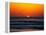 Birds at Sunset-Josh Adamski-Framed Premier Image Canvas