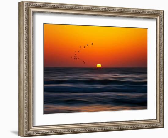 Birds at Sunset-Josh Adamski-Framed Photographic Print