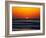 Birds at Sunset-Josh Adamski-Framed Photographic Print