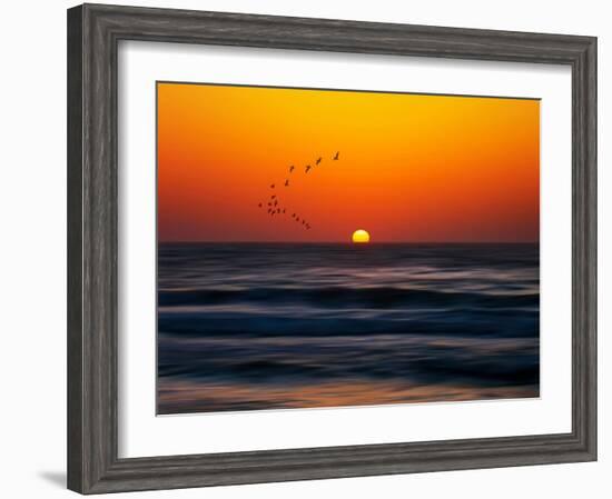 Birds at Sunset-Josh Adamski-Framed Photographic Print