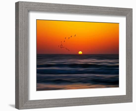 Birds at Sunset-Josh Adamski-Framed Photographic Print