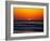 Birds at Sunset-Josh Adamski-Framed Photographic Print