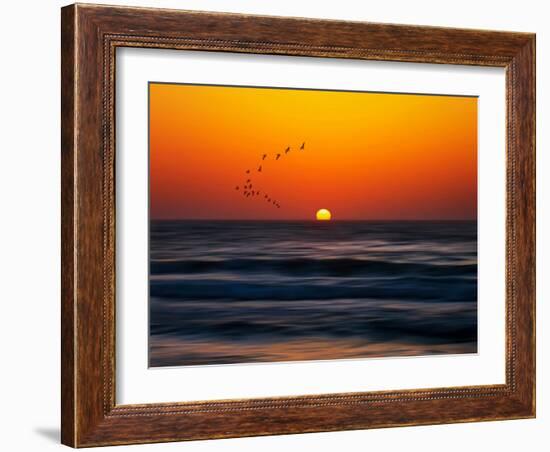 Birds at Sunset-Josh Adamski-Framed Photographic Print