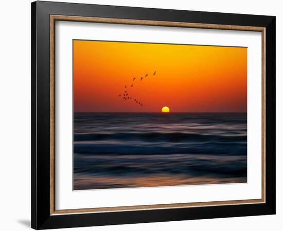 Birds at Sunset-Josh Adamski-Framed Photographic Print