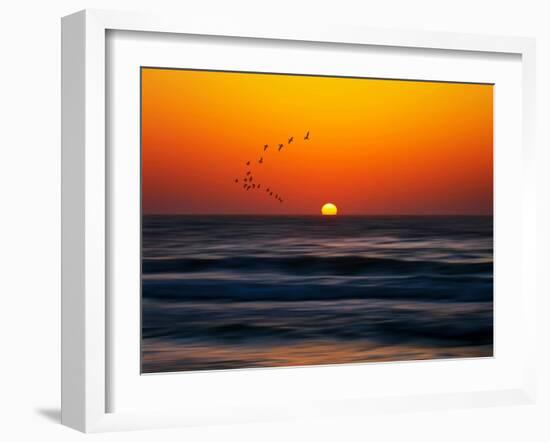 Birds at Sunset-Josh Adamski-Framed Photographic Print