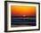 Birds at Sunset-Josh Adamski-Framed Photographic Print