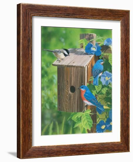 Birds at the Feeder (Bluebirds)-William Vanderdasson-Framed Giclee Print