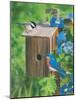 Birds at the Feeder (Bluebirds)-William Vanderdasson-Mounted Giclee Print