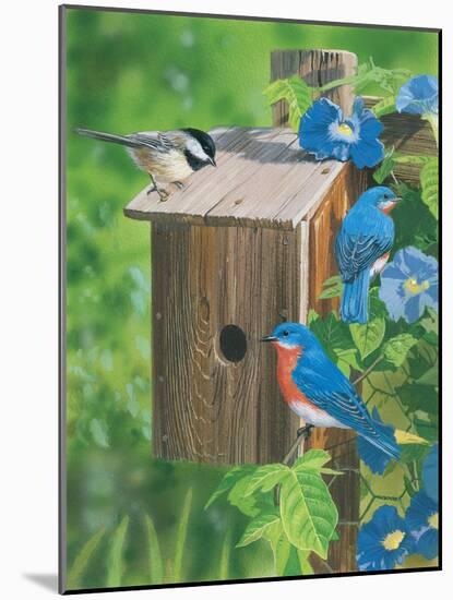 Birds at the Feeder (Bluebirds)-William Vanderdasson-Mounted Giclee Print