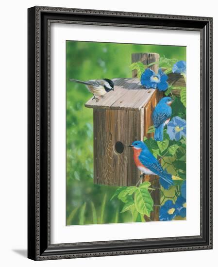 Birds at the Feeder (Bluebirds)-William Vanderdasson-Framed Giclee Print