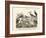 Birds, C.1860-null-Framed Giclee Print