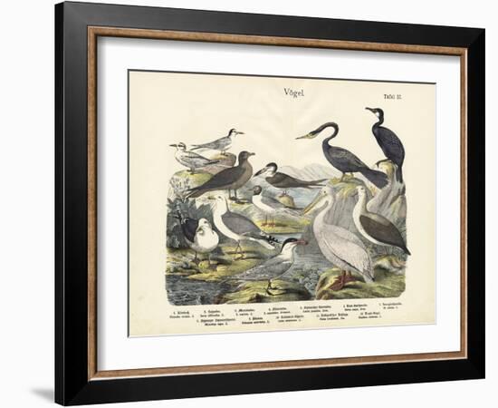 Birds, C.1860-null-Framed Giclee Print