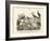 Birds, C.1860-null-Framed Giclee Print