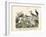 Birds, C.1860-null-Framed Giclee Print