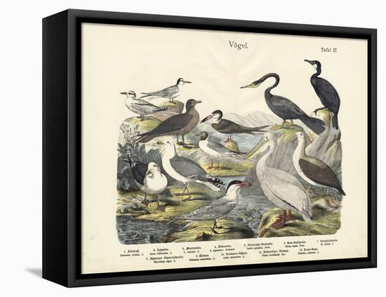 Birds, C.1860-null-Framed Premier Image Canvas