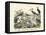 Birds, C.1860-null-Framed Premier Image Canvas