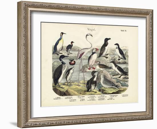 Birds, C.1860-null-Framed Giclee Print