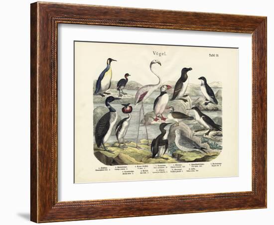 Birds, C.1860-null-Framed Giclee Print